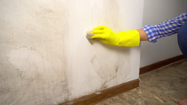 Best Emergency Mold Remediation  in Clifton Springs, NY