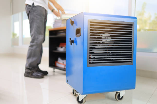 Best Airborne Mold Testing  in Clifton Springs, NY